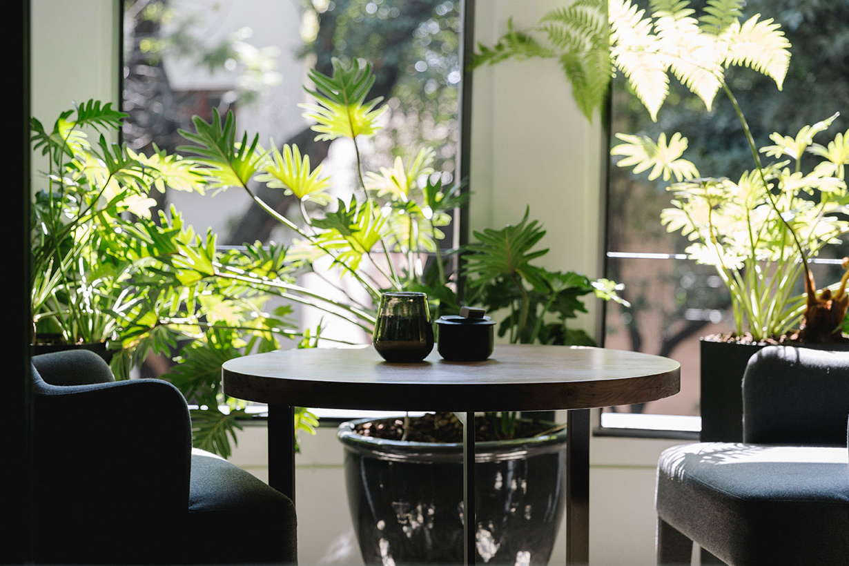 ROOFTOP Suite